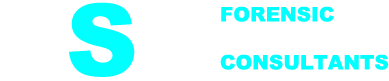 logo_fs